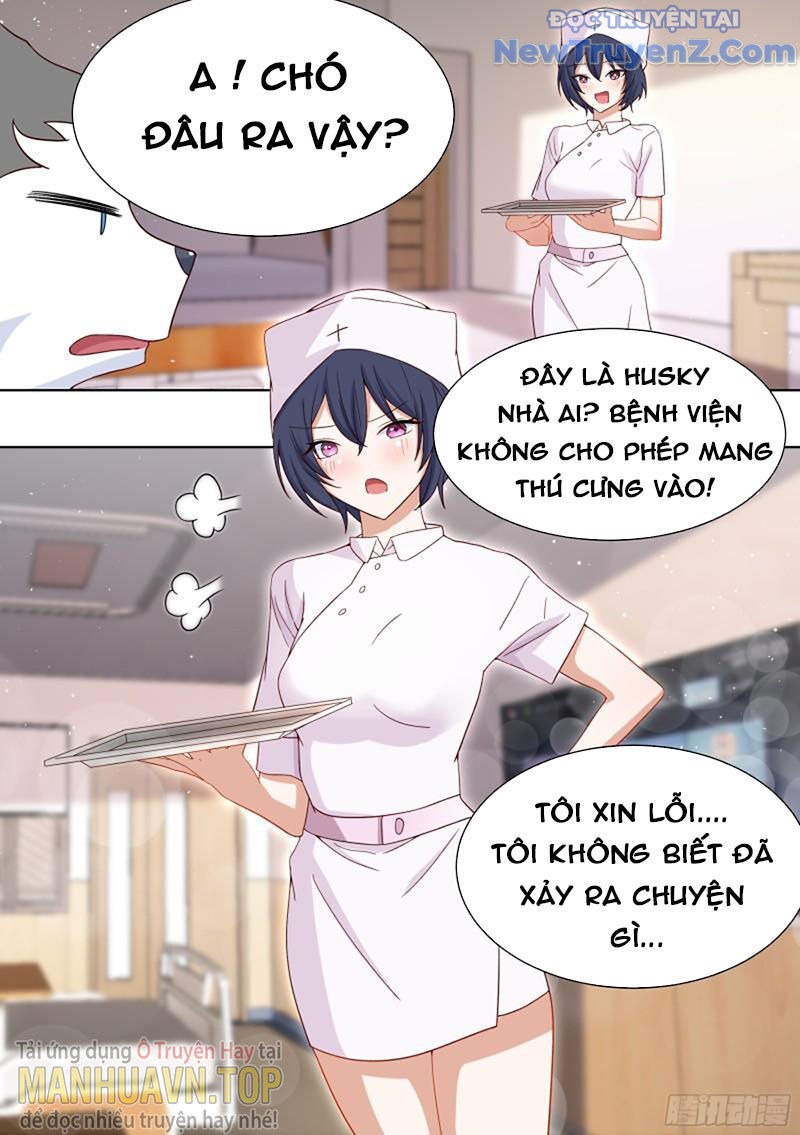 Trọng Sinh Thành Chó Của Nữ Thần chapter 196 - Trang 11