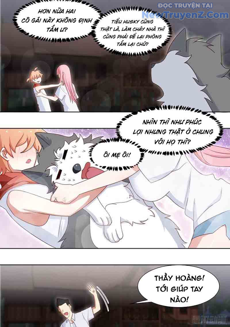 Trọng Sinh Thành Chó Của Nữ Thần chapter 186 - Trang 4
