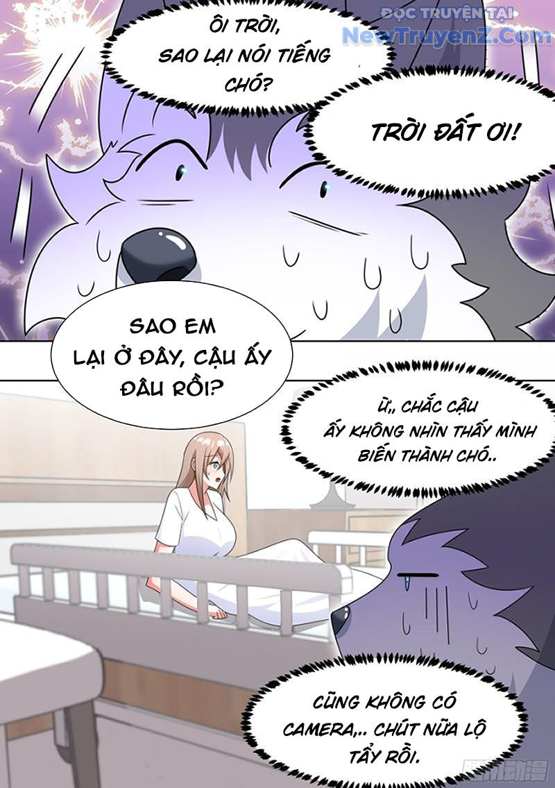 Trọng Sinh Thành Chó Của Nữ Thần chapter 196 - Trang 10