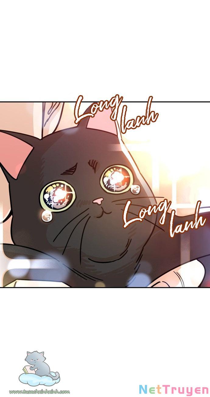 Lớ Ngớ Vớ Phải Tình Yêu Chapter 4 - Trang 40