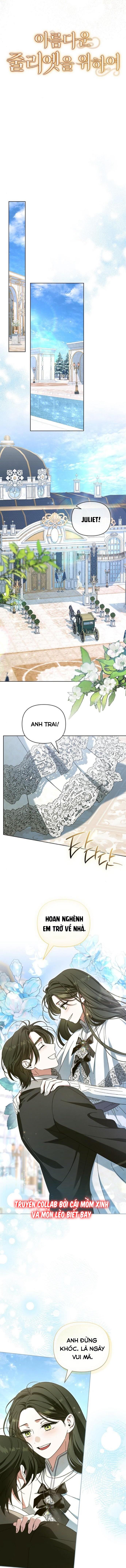 Dành Cho Nàng Juliet Xinh Đẹp Chapter 12 - Trang 4
