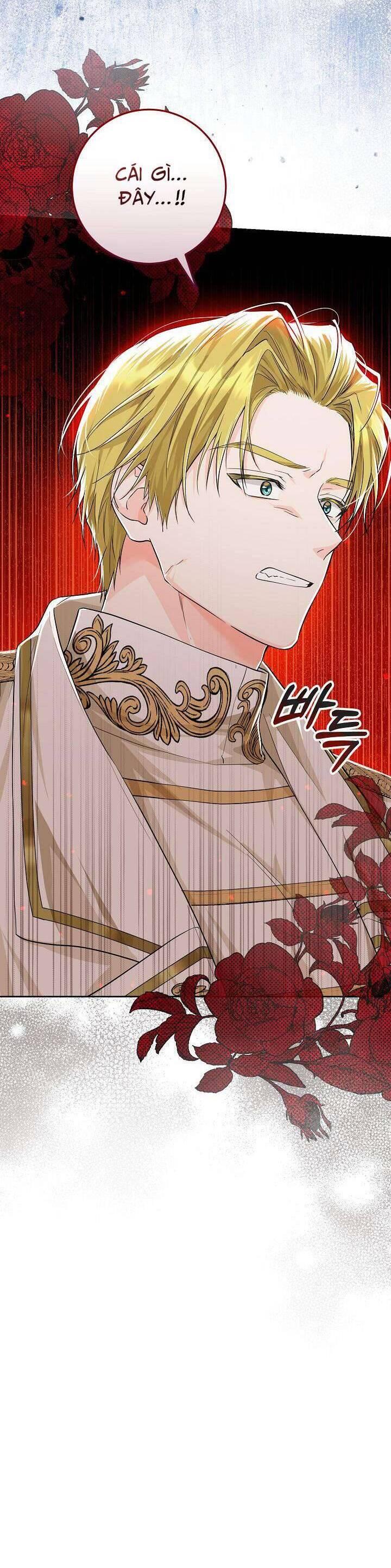 Công Chúa Nhân Danh Fan Cứng Chapter 6 - Trang 21