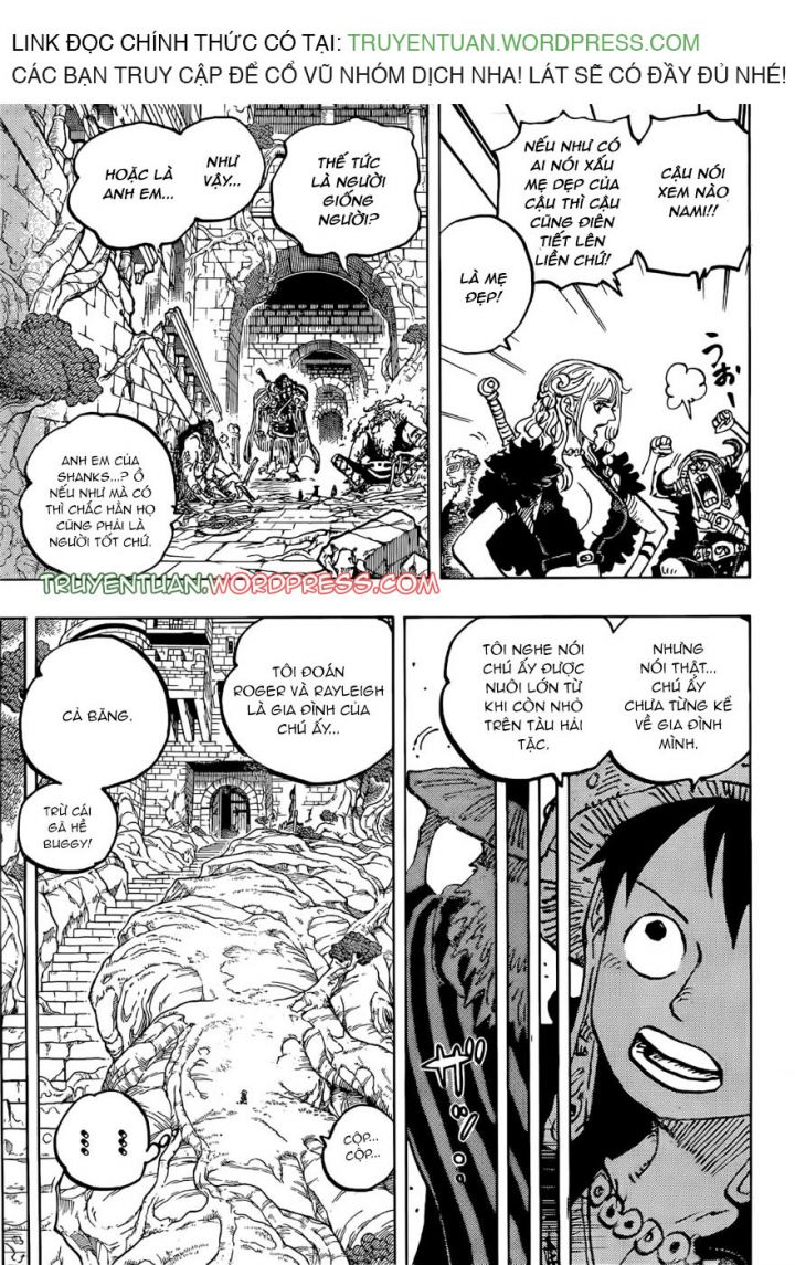 Đảo Hải Tặc Chapter 1138 - Trang 10