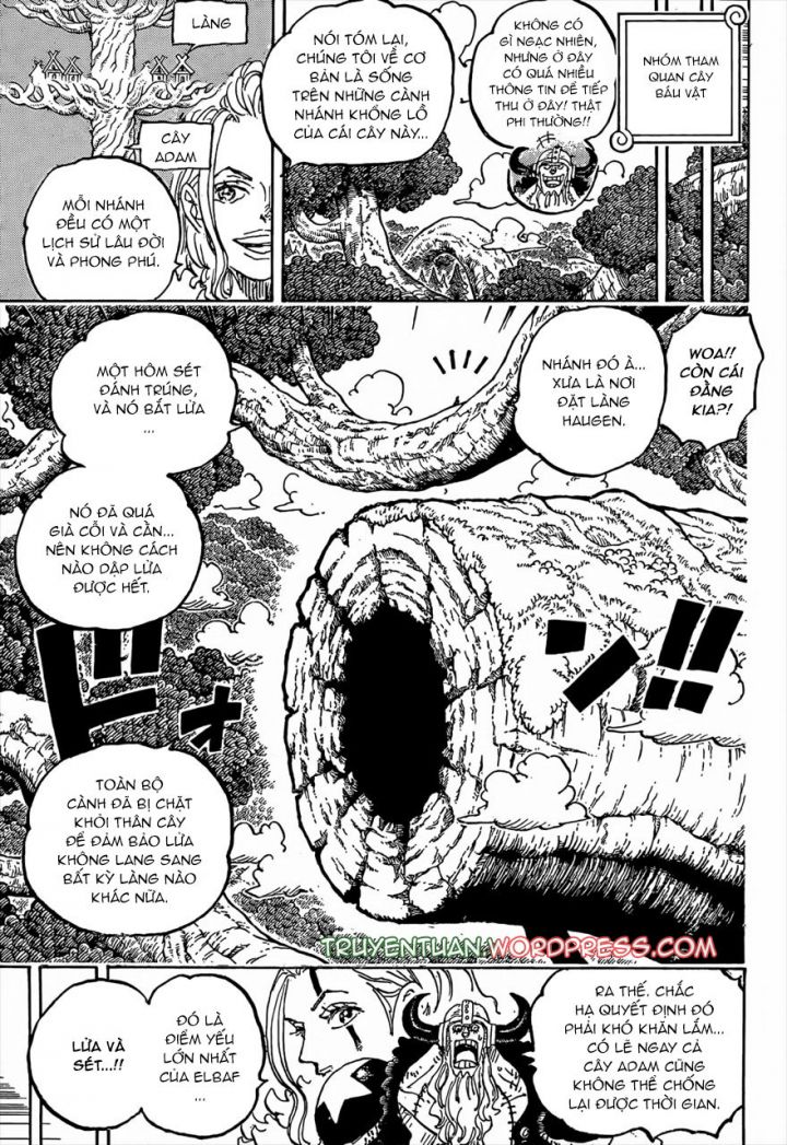 Đảo Hải Tặc Chapter 1141 - Trang 3
