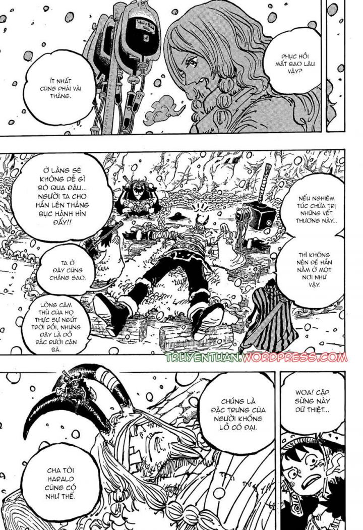 Đảo Hải Tặc Chapter 1143 - Trang 13