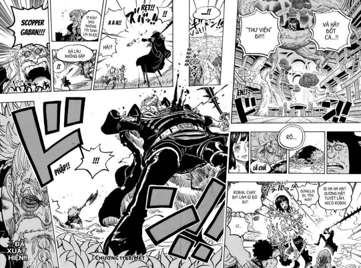 Đảo Hải Tặc Chapter 1148 - Trang 13