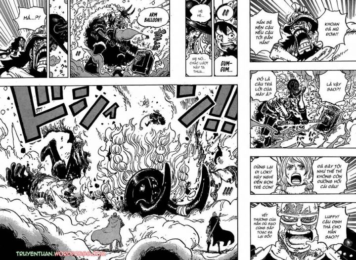 Đảo Hải Tặc Chapter 1143 - Trang 11
