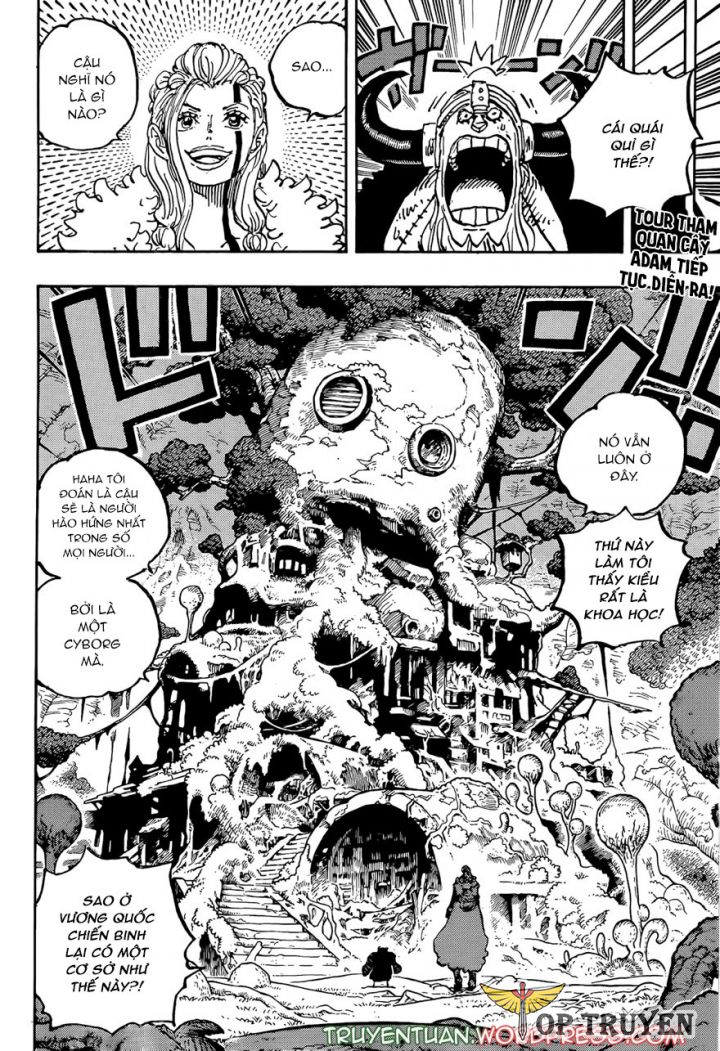 Đảo Hải Tặc Chapter 1144 - Trang 2