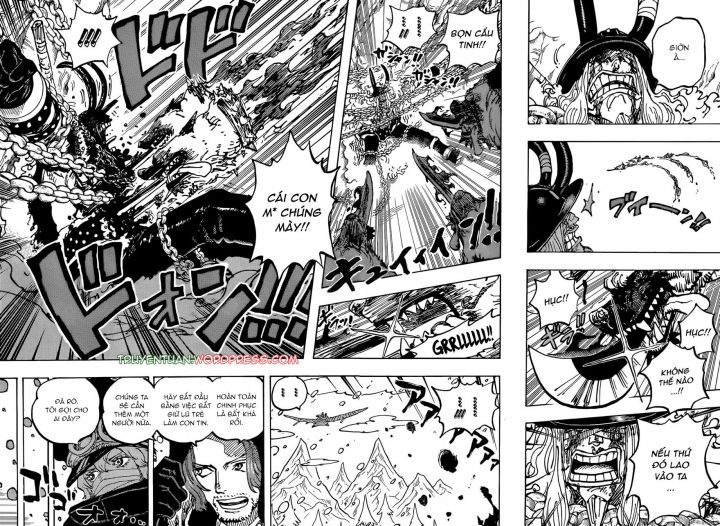 Đảo Hải Tặc Chapter 1138 - Trang 8