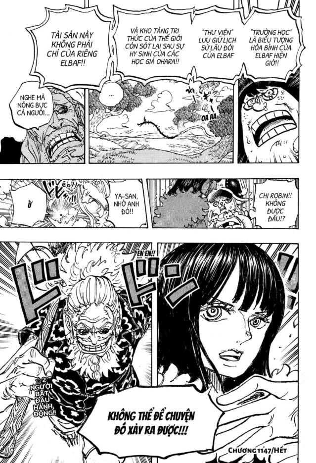 Đảo Hải Tặc Chapter 1147 - Trang 16