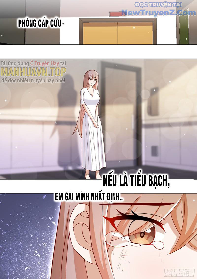 Trọng Sinh Thành Chó Của Nữ Thần chapter 195 - Trang 5