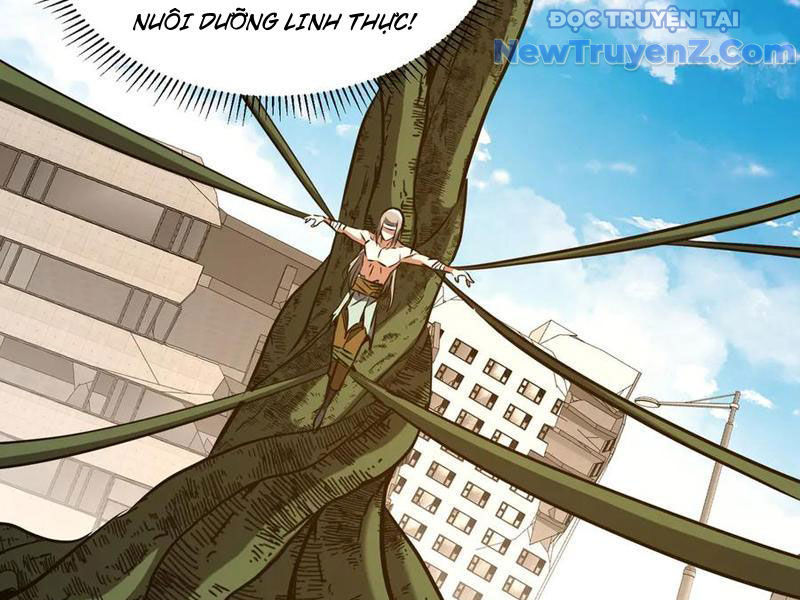 Ma Tu Tái Sinh: Khởi Đầu Nhặt Được Một Hành Tinh Zombie chapter 41 - Trang 115