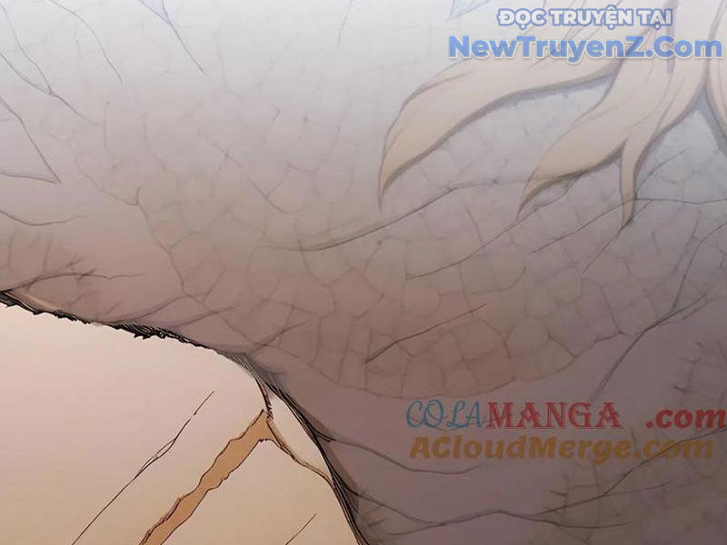Toàn Dân Thần Vương: Tôi Hiến Tế Nghìn Tỷ Sinh Linh! chapter 104 - Trang 25