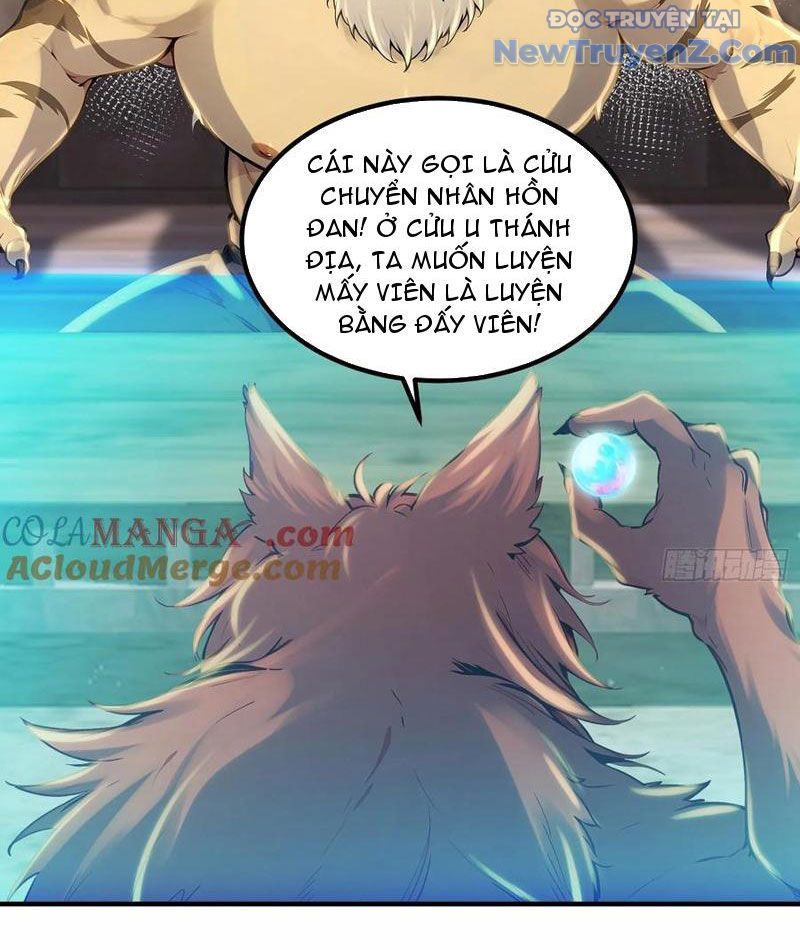 Tu Tiên Hàng Triệu Năm: đệ Tử Của Ta Rải Rác Khắp Tiên Giới! chapter 49 - Trang 35