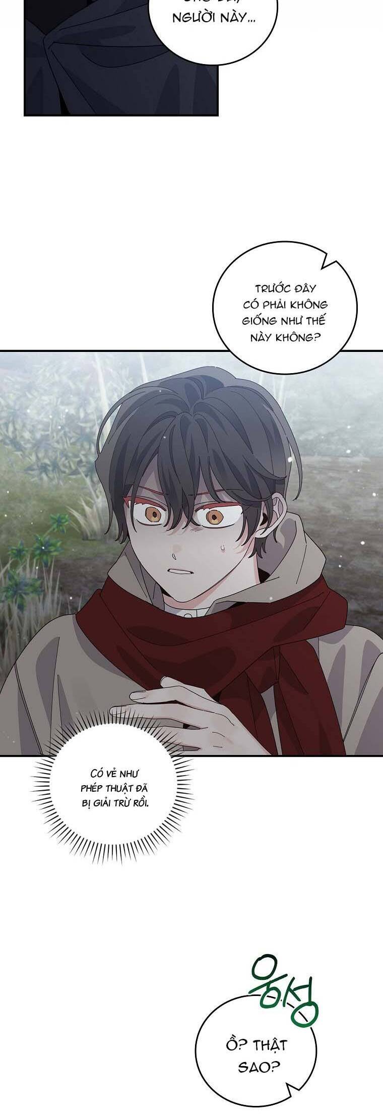 Chị Gái Của Nhân Vật Phản Diện Hôm Nay Cũng Đang Đau Khổ Chapter 71 - Trang 12