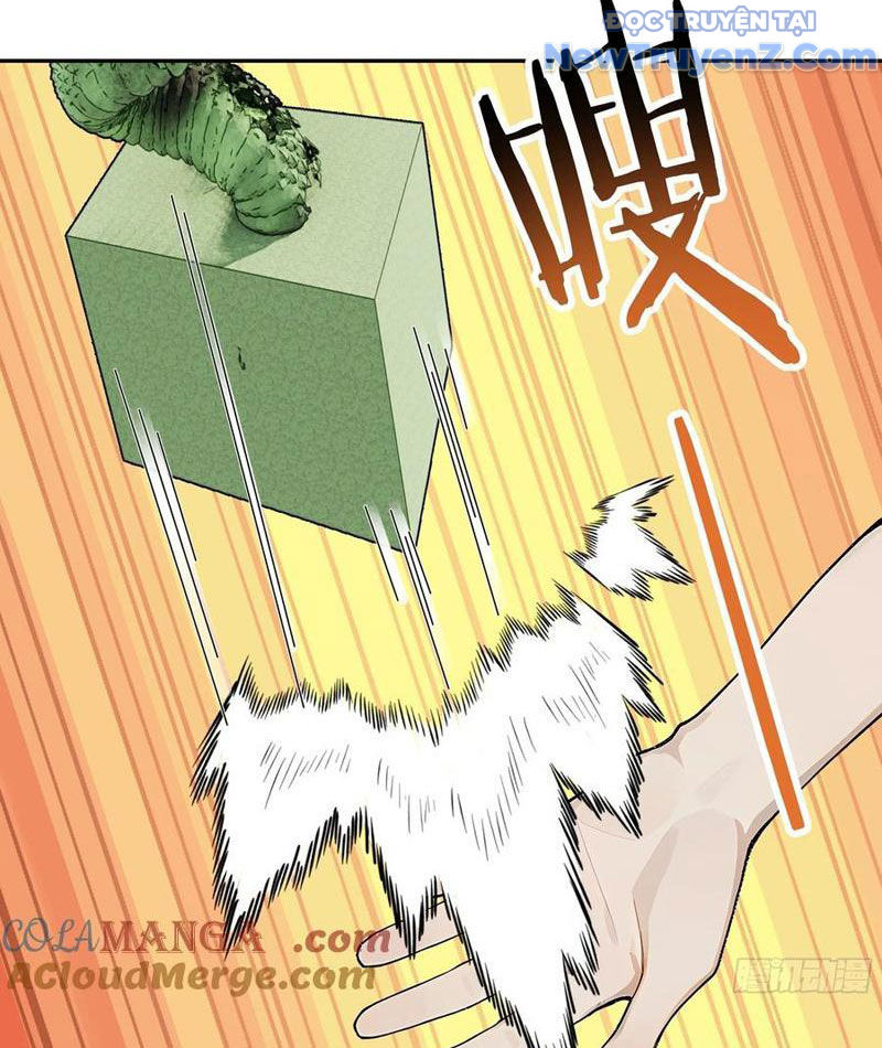 Thật Sự Là Ta Không Muốn Làm Học Thần! chapter 48 - Trang 51