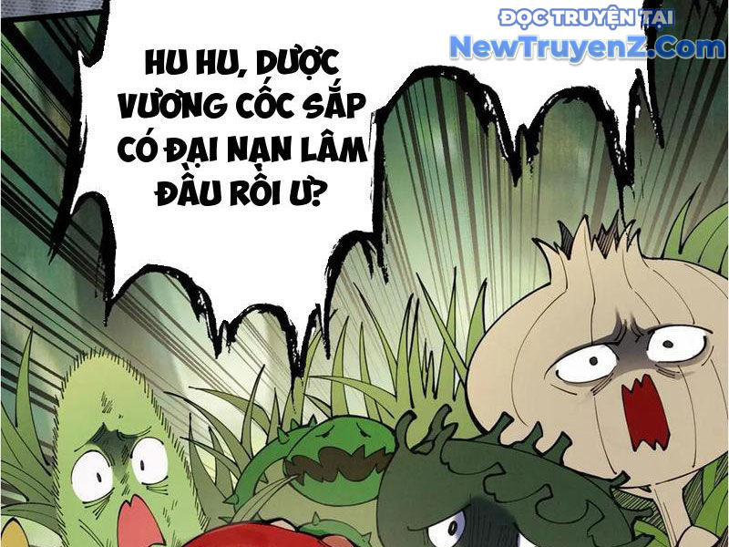 Gặp mạnh thì càng mạnh, tu vi của ta không giới hạn chapter 48 - Trang 4
