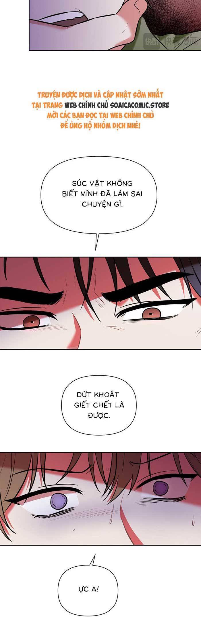 Cua Lại Vợ Yêu Chapter 4 - Trang 19