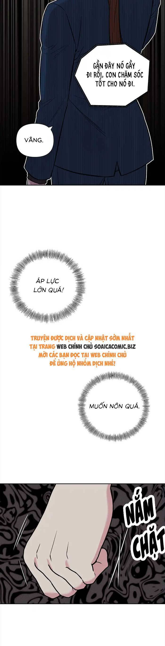 Cua Lại Vợ Yêu Chapter 11 - Trang 8