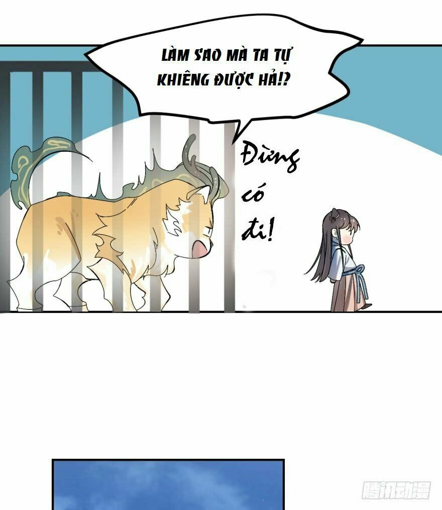 Độc Bộ Thiên Hạ: Đặc Công Thần Y Chapter 4 - Trang 11