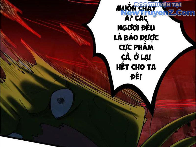 Gặp mạnh thì càng mạnh, tu vi của ta không giới hạn chapter 48 - Trang 13