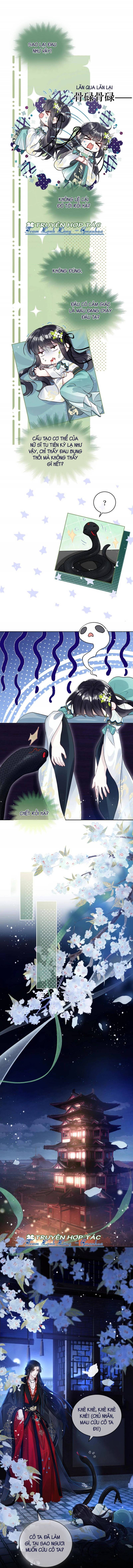 Dâng Cá Muối Lên Cho Sư Tổ Chapter 5 - Trang 3