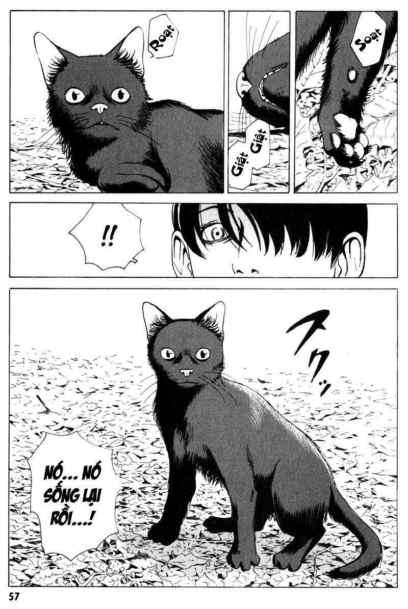 The Kurosagi Corpse Delivery Service Chapter 6 - Trang 25