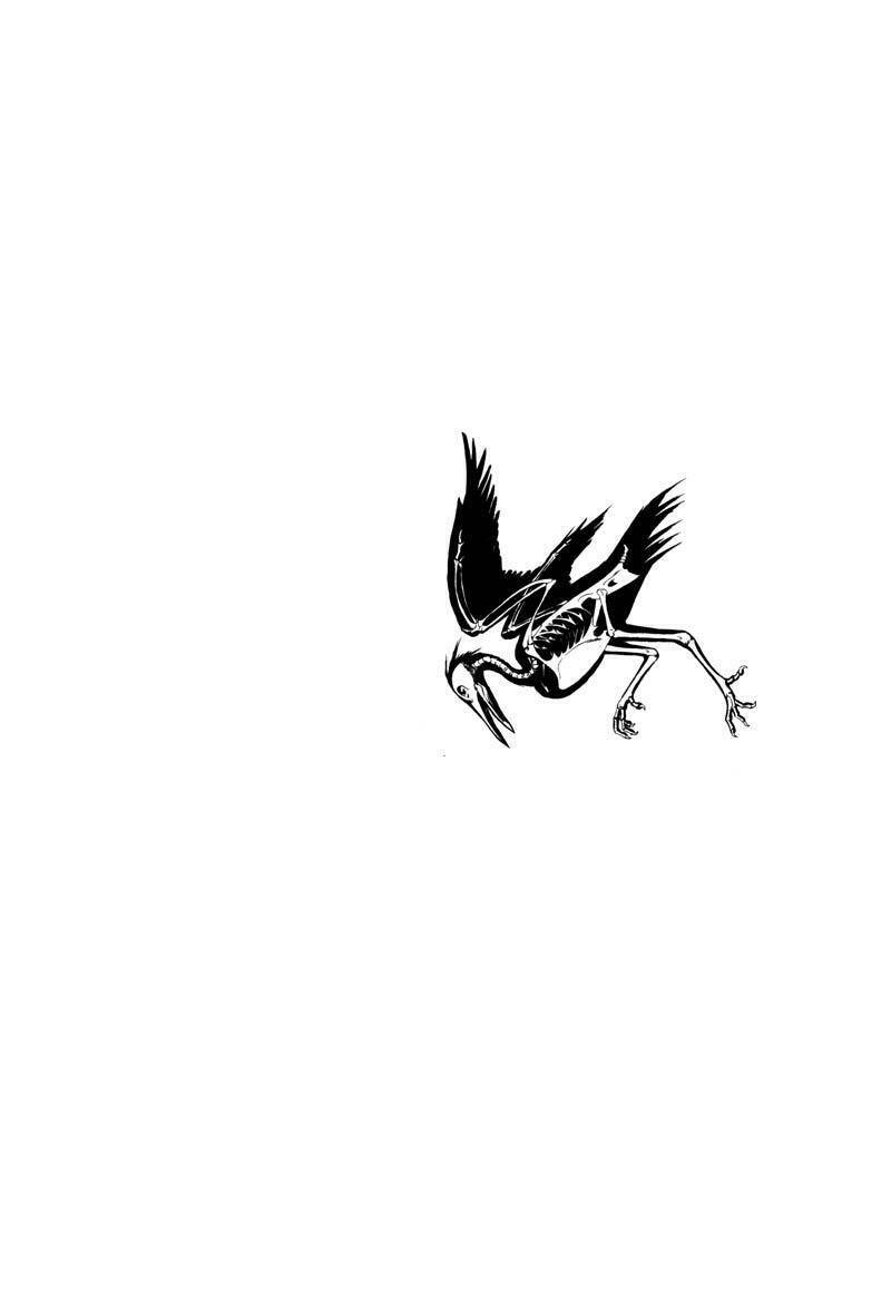 The Kurosagi Corpse Delivery Service Chapter 13 - Trang 2