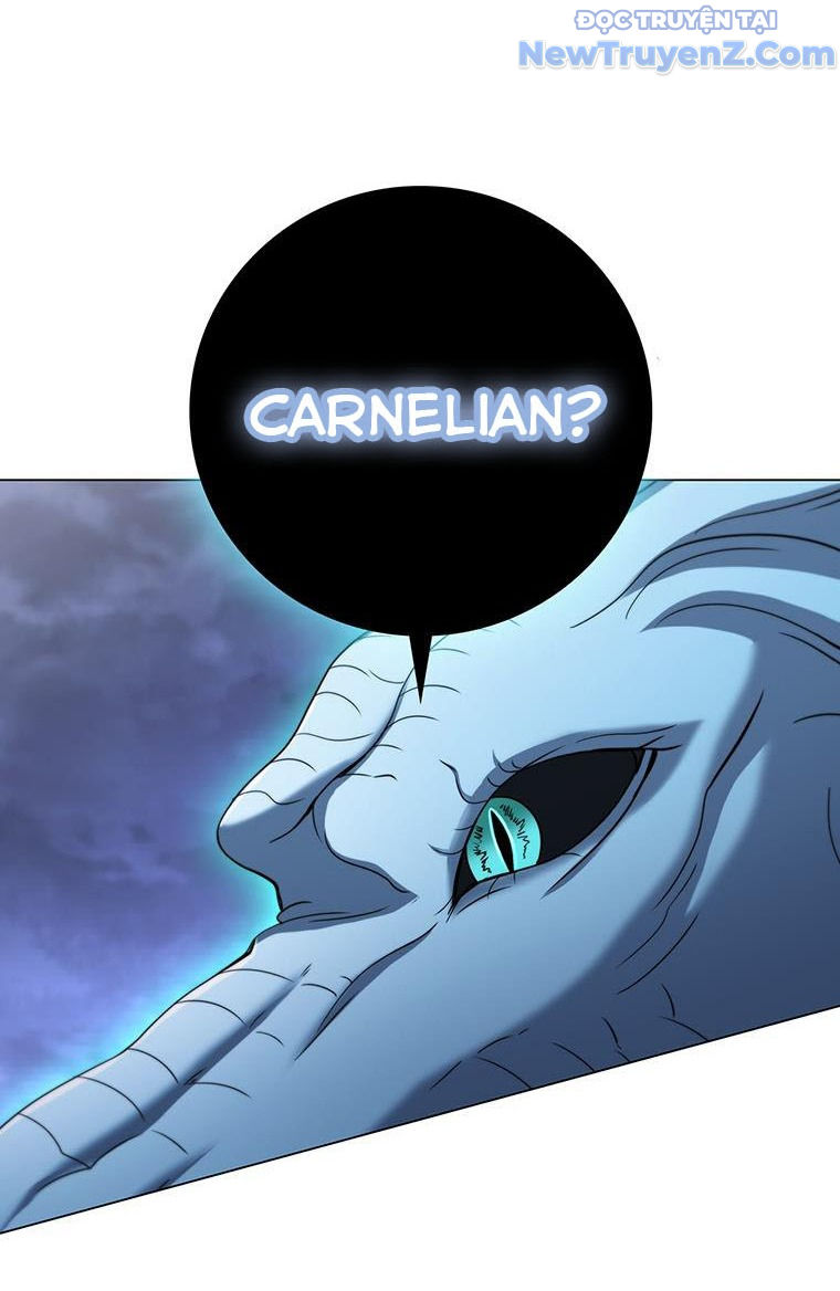 Carnelian: Quý Cô Rồng chapter 51 - Trang 8
