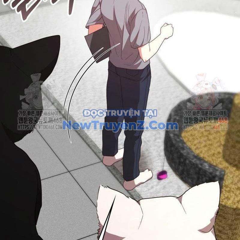 Studio Tùy Hứng Của Nghệ Sĩ Thiên Tài chapter 91 - Trang 2
