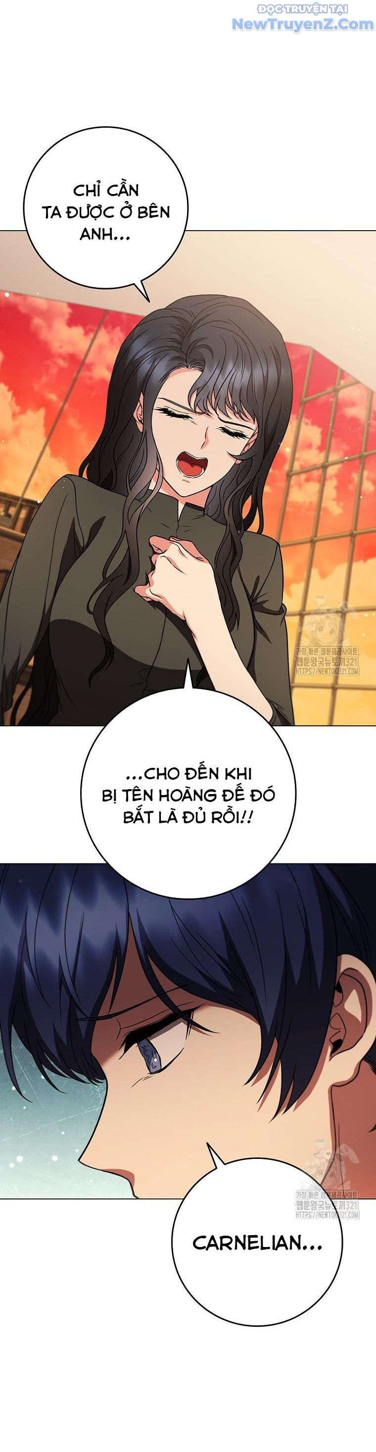 Carnelian: Quý Cô Rồng chapter 49 - Trang 25