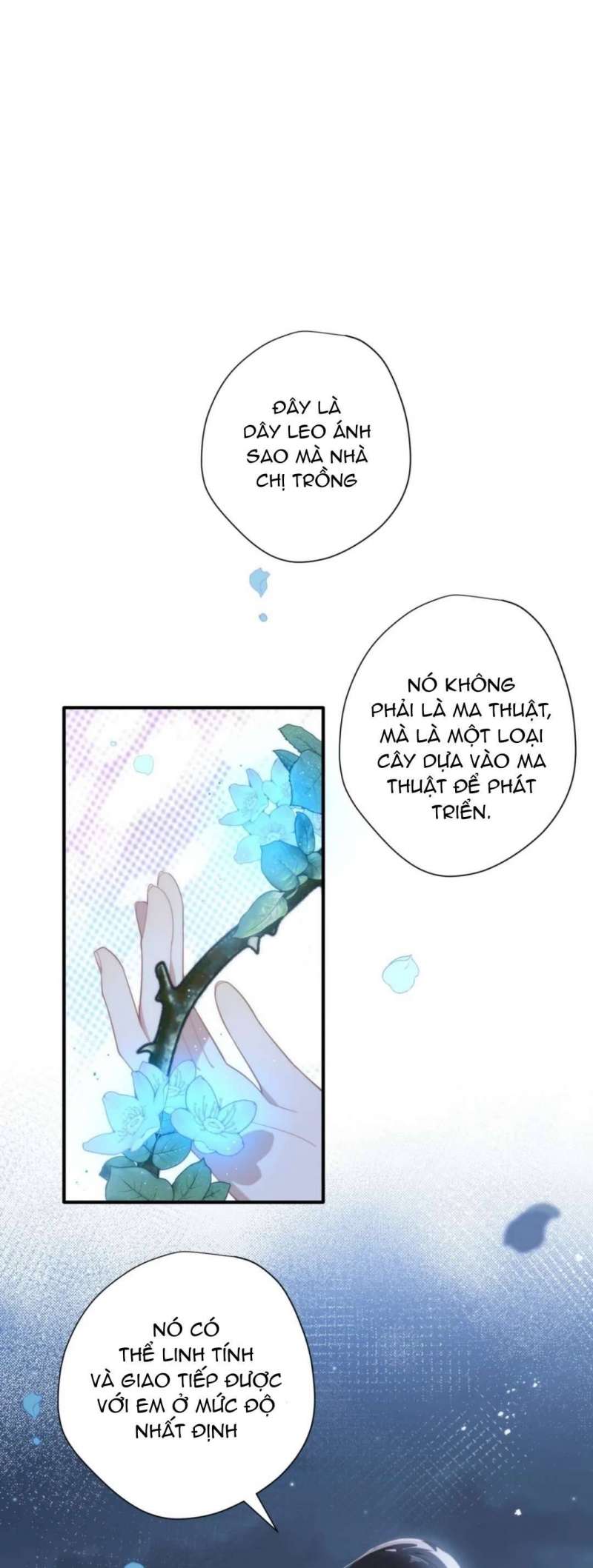 Xuyên Thành Phù Thủy Nuôi Dưỡng Kỵ Sĩ Thánh Điện Chapter 13 - Trang 1