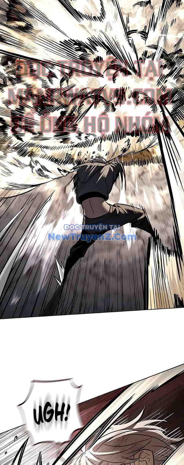 Hóa Thân Thành Mèo chapter 352 - Trang 14
