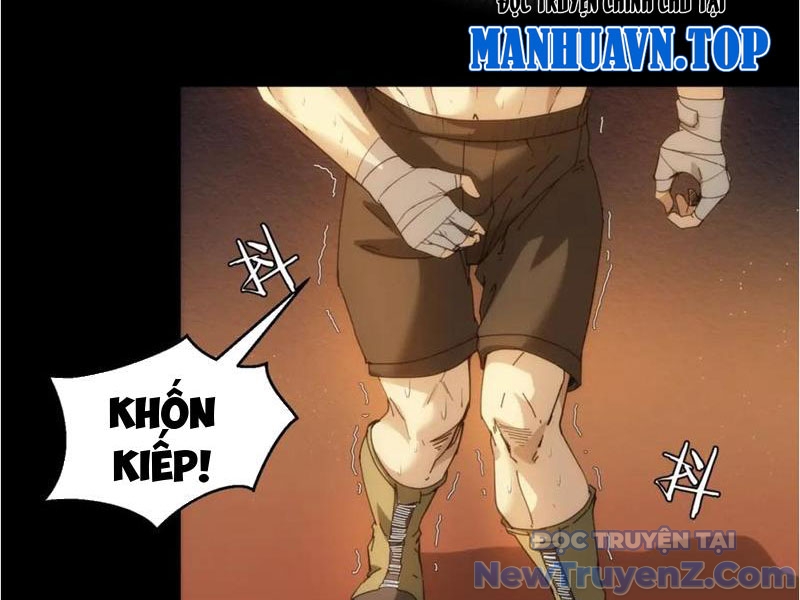Nhất Ký Trọng Quyền chapter 23 - Trang 24