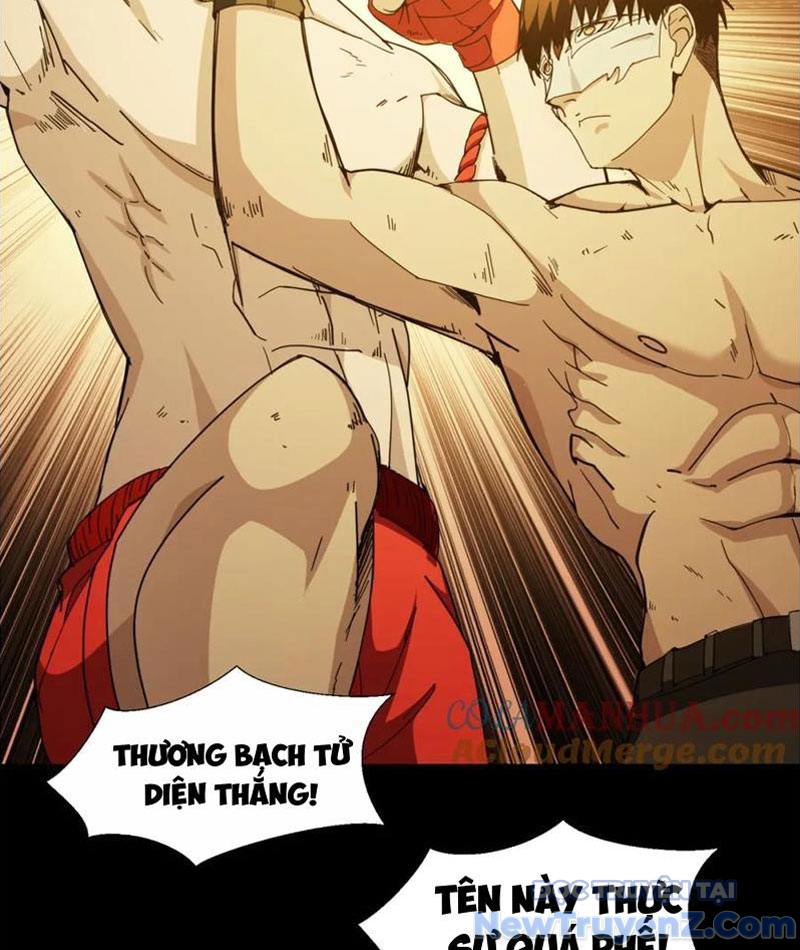 Nhất Ký Trọng Quyền chapter 27 - Trang 12
