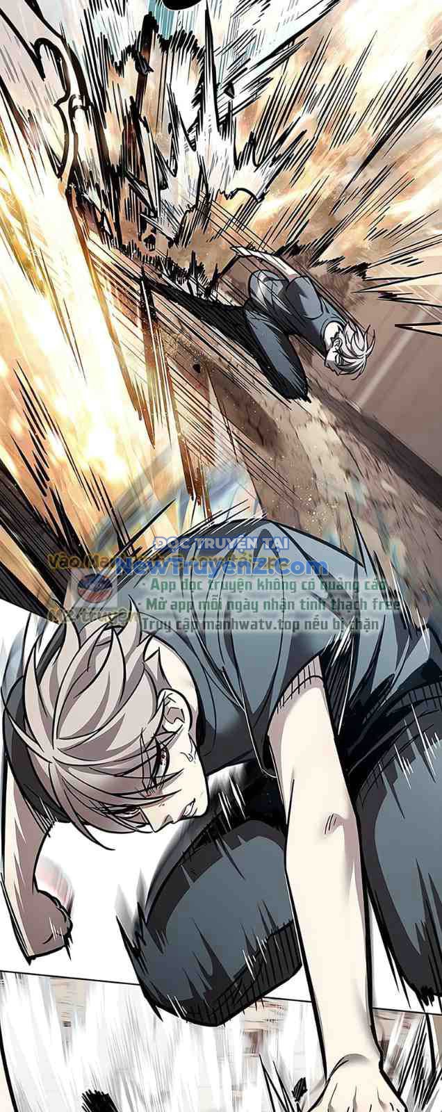 Hóa Thân Thành Mèo chapter 352 - Trang 2