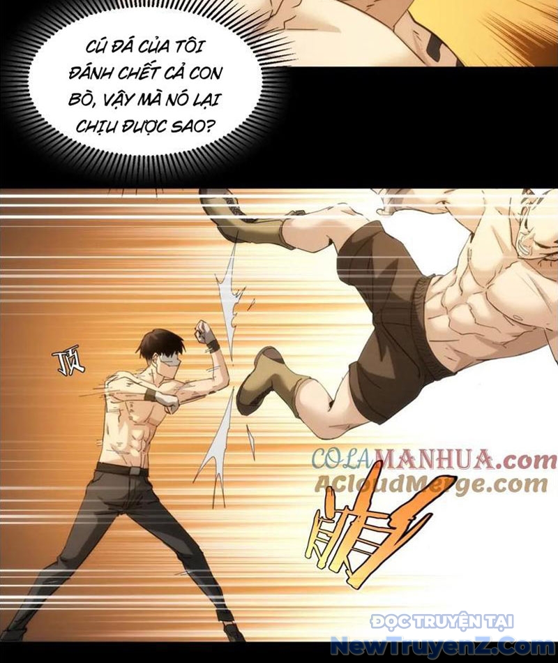 Nhất Ký Trọng Quyền chapter 22 - Trang 36