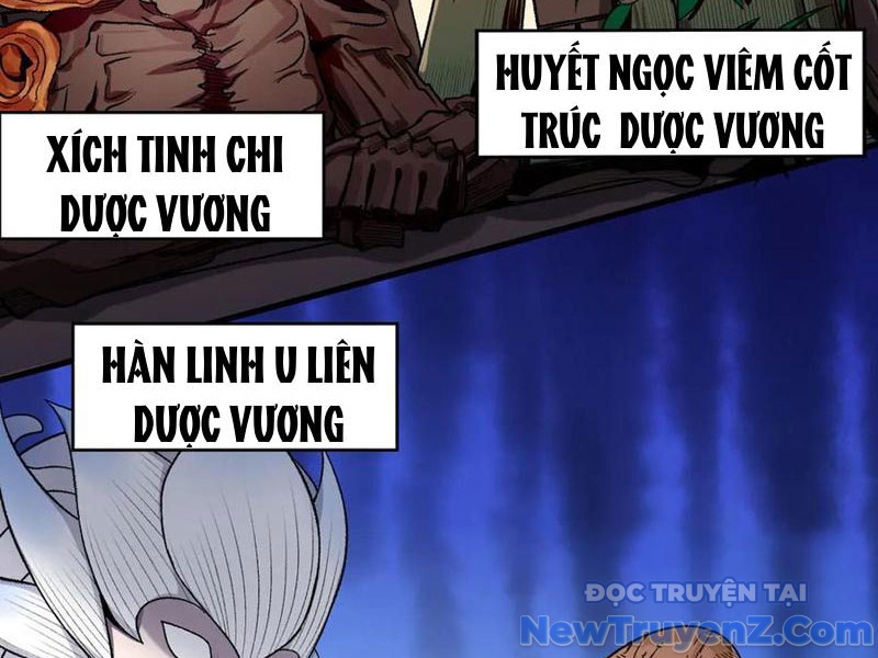 Gặp mạnh thì càng mạnh, tu vi của ta không giới hạn chapter 49 - Trang 10