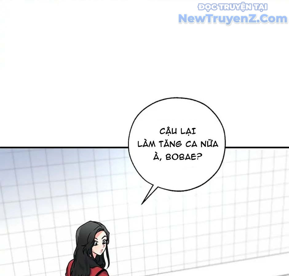 Anh Em Của Tôi Đều Là Nhân Vật Chính chapter 1 - Trang 16