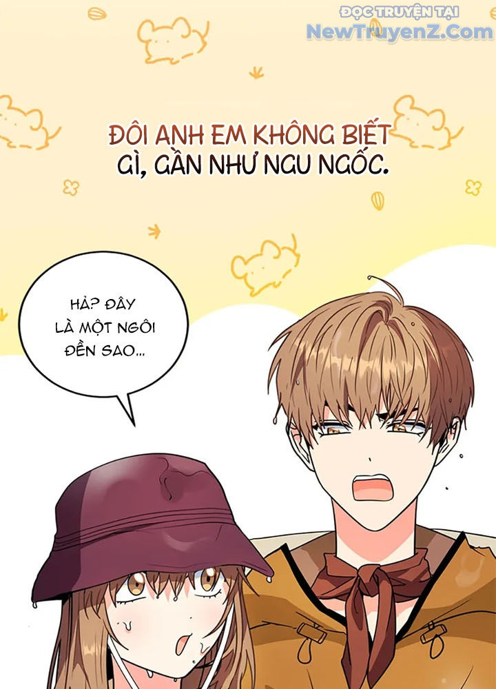 Anh Em Của Tôi Đều Là Nhân Vật Chính chapter 64 - Trang 66