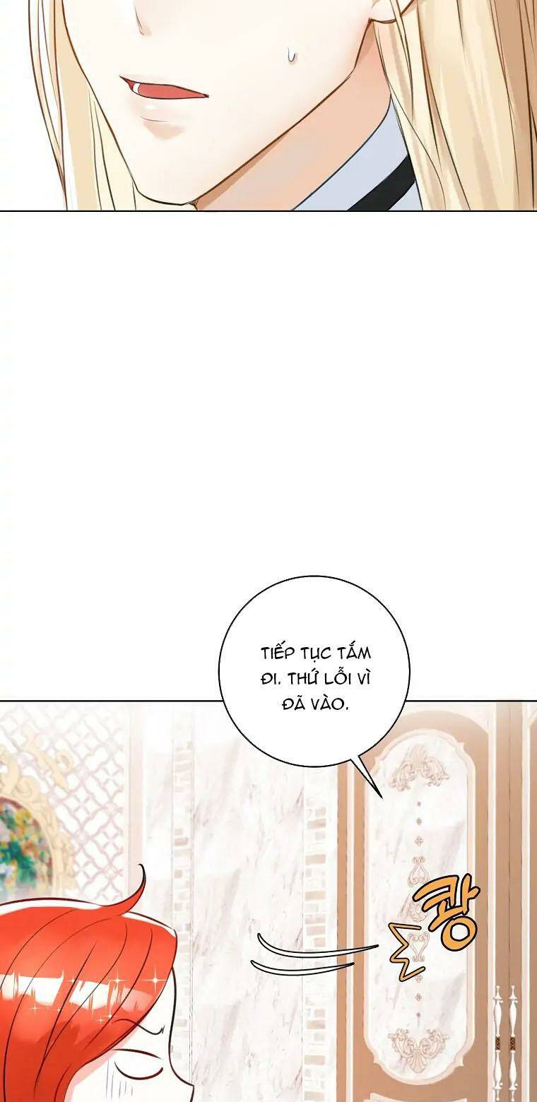 Cuộc Hôn Nhân Xa Hoa Của Đại Công Tước Là Giả Chapter 3 - Trang 20