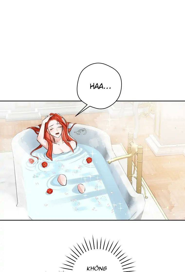 Cuộc Hôn Nhân Xa Hoa Của Đại Công Tước Là Giả Chapter 2 - Trang 4