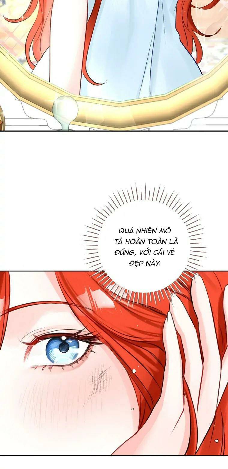 Cuộc Hôn Nhân Xa Hoa Của Đại Công Tước Là Giả Chapter 2 - Trang 19