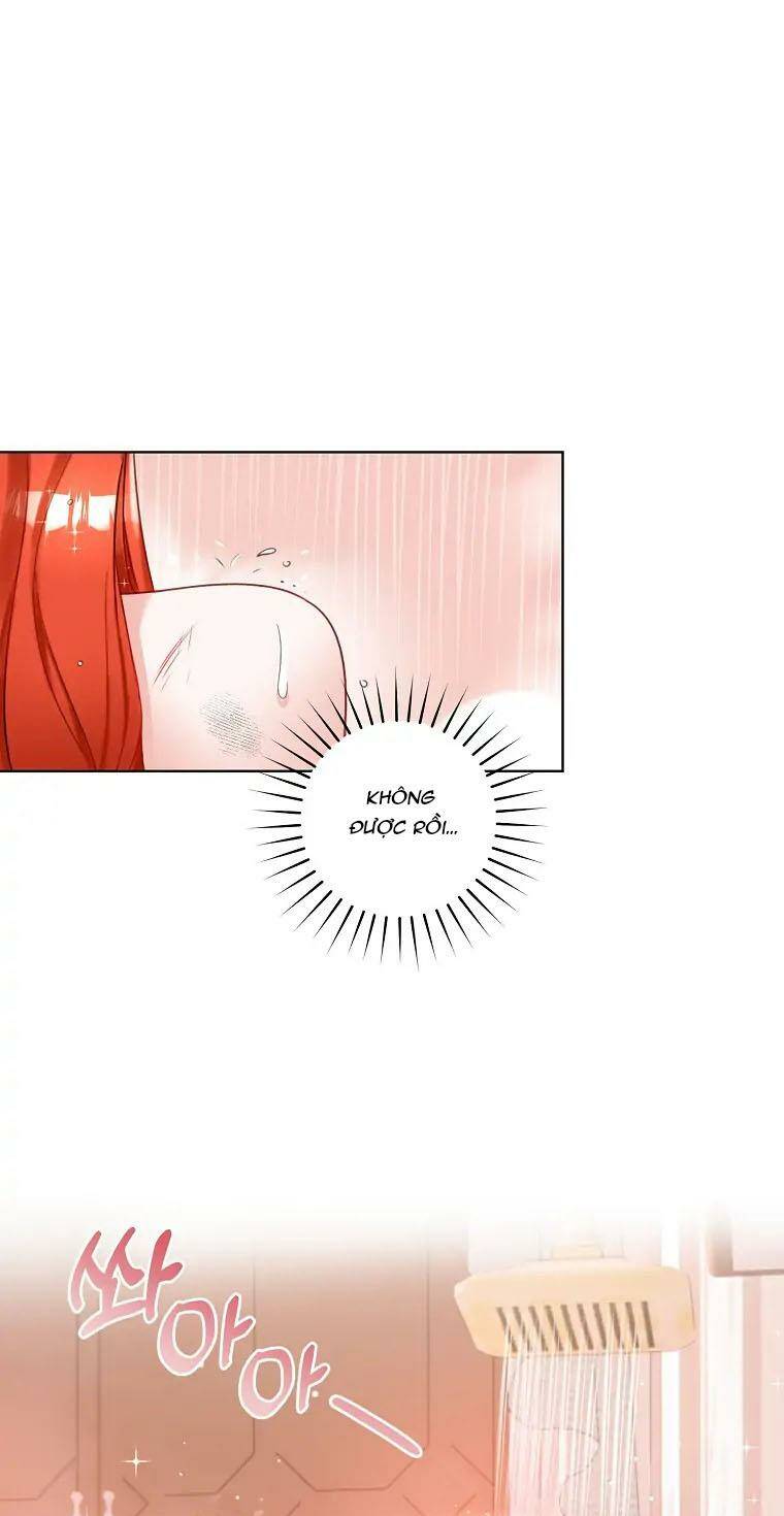 Cuộc Hôn Nhân Xa Hoa Của Đại Công Tước Là Giả Chapter 3 - Trang 24