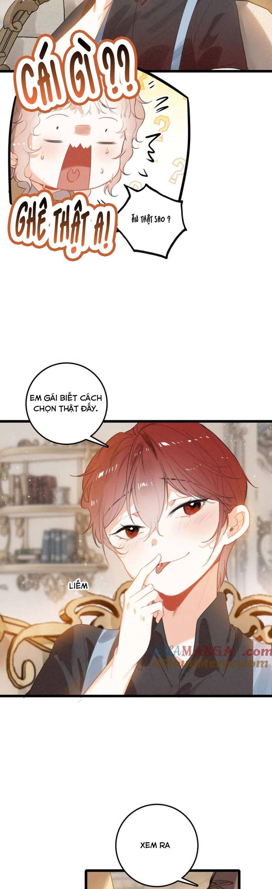 Sau Khi Xuyên Thành Tiểu Bảo Bảo , Cả Nhà Phản Diện Đều Muốn Giết Tôi! Chapter 13 - Trang 12
