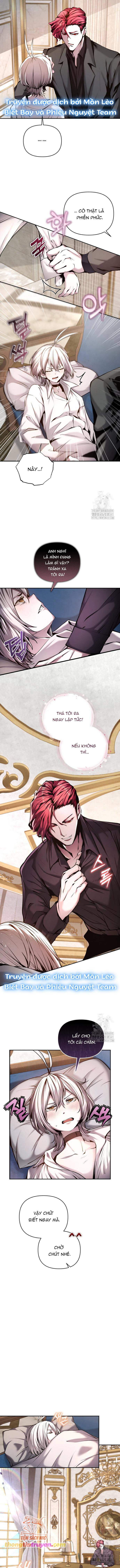Thỏ Trắng Ở Xứ Sở Thần Tiên Chapter 7 - Trang 7