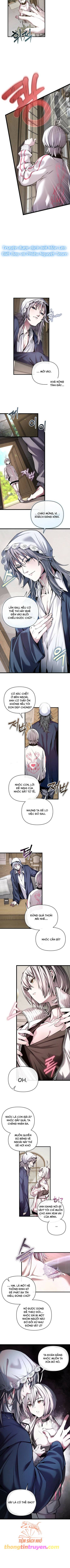 Thỏ Trắng Ở Xứ Sở Thần Tiên Chapter 3 - Trang 5