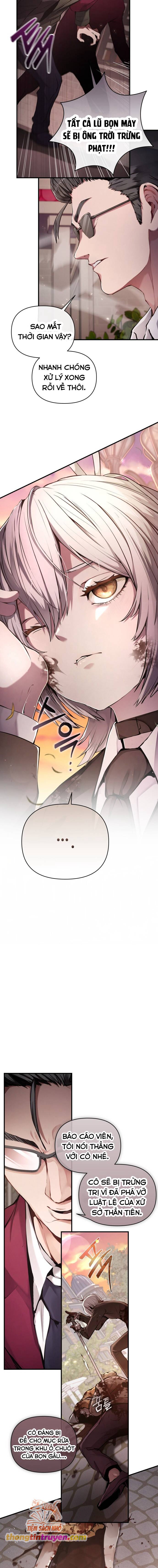 Thỏ Trắng Ở Xứ Sở Thần Tiên Chapter 1 - Trang 2