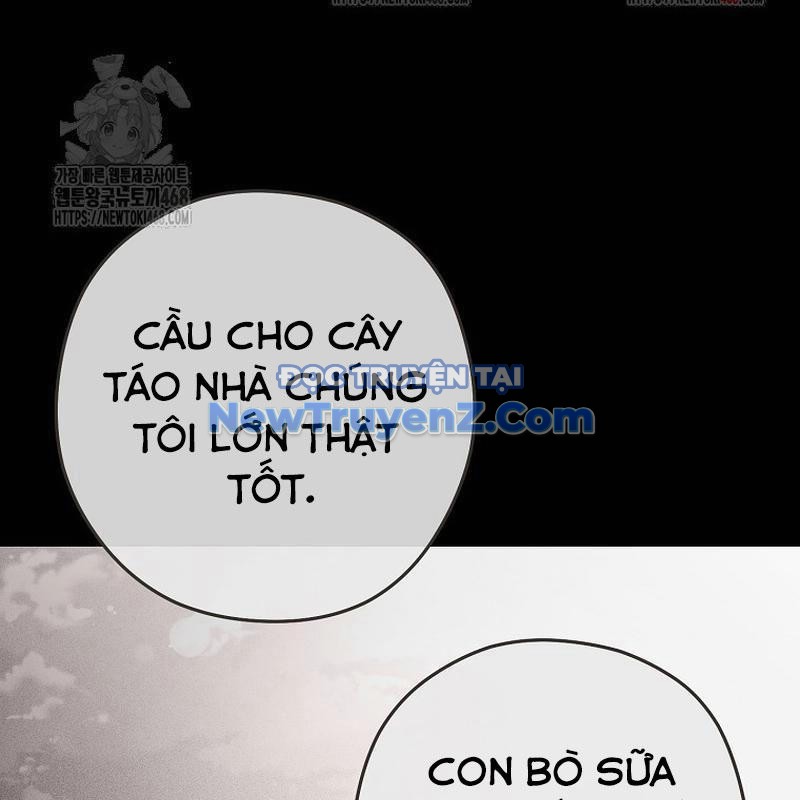 Tái Thiết Hầm Ngục chapter 249 - Trang 212