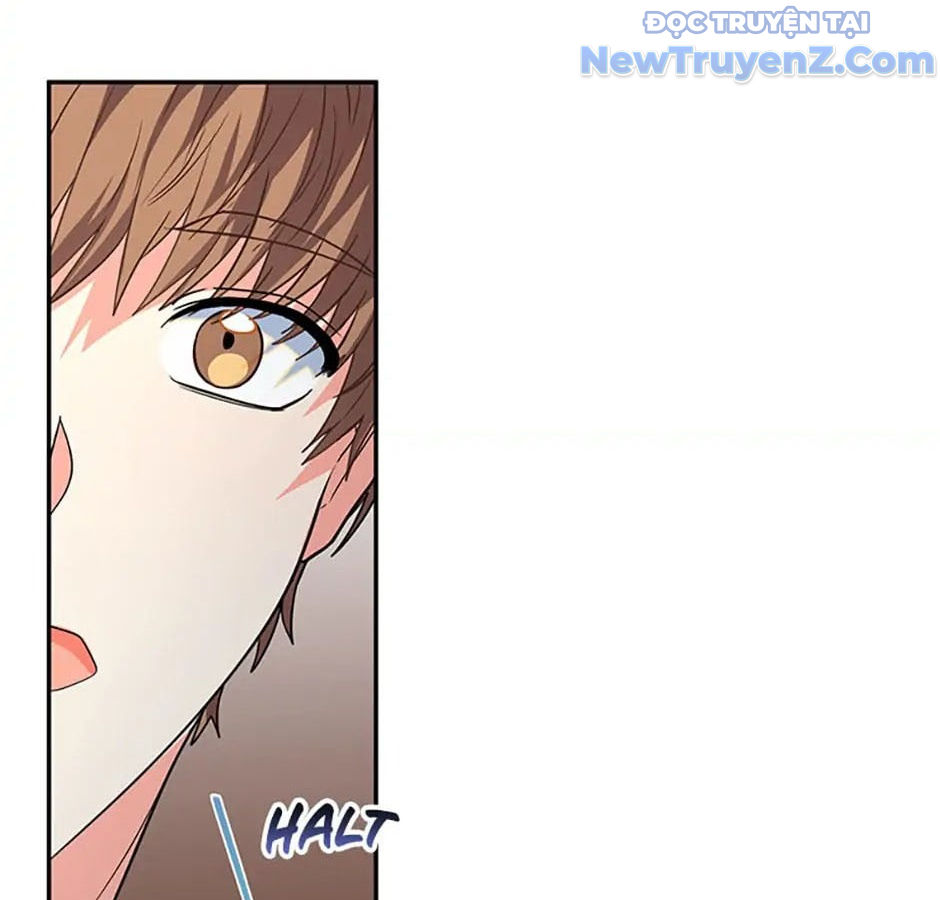 Anh Em Của Tôi Đều Là Nhân Vật Chính chapter 4 - Trang 14